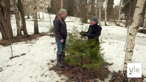 Juhat luonnossa: 27.06.2020 00.01