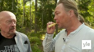 Fågelimitation: 27.06.2020 00.01