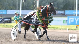 Raveihin saa ottaa jälleen enemmän yleisöä, miltä näyttää Vermossa ennen keskiviikko-raveja?: 01.07.2020 14.25