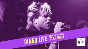 Suuri Dingo-ilta (S): 02.07.2020 20.45