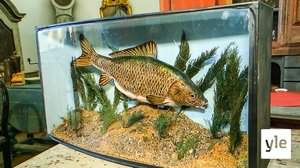 Tanskan aarteenmetsästäjät: 06.07.2020 15.50