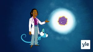 Polio: 15.07.2020 10.00