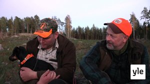 Metsästysterrierit: 15.07.2020 06.00