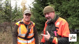 Koirien käyttö villisianmetsästyksessä: 15.07.2020 06.00