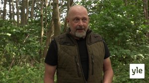 Noutavan koiran käyttö: 15.07.2020 06.00