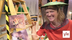 Humlor, bin och getingar (S): 20.08.2020 14.31