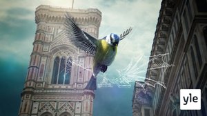 Leonardo da Vincin monet kasvot: 27.07.2020 06.00