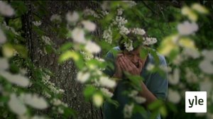 Sulosointuja ja hiljaisuuden tuskaa (S): 30.07.2020 00.01