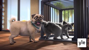 Ovela esitys (7): 30.07.2020 10.00