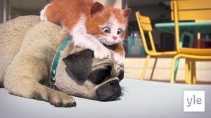 Neuvova puhelin (7): 30.07.2020 10.00