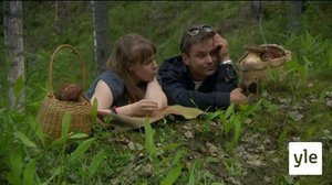 Tolkutonta elämää (7): 30.07.2020 00.01