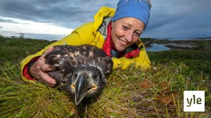 Luontoretkellä: 03.08.2020 06.00