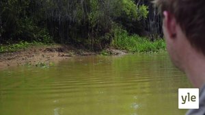 Luontomatkalla: 06.08.2020 06.00