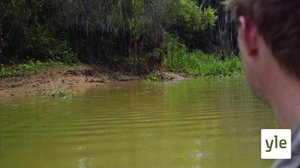 Luontomatkalla: 06.08.2020 06.00