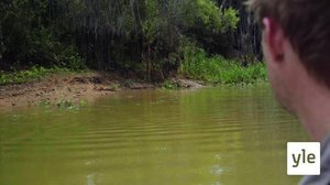 Luontomatkalla: 06.08.2020 06.00