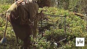 Rölli ja eläintarha (S): 06.08.2020 00.01