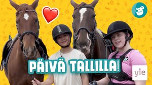 Ratsastushaaste: 07.08.2020 15.00