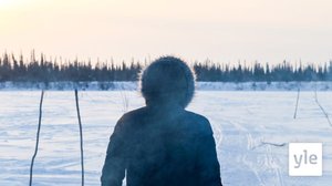 Takaisin kotiin: 12.08.2020 00.01