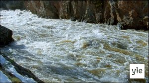 Jokiemme helmet: Oulanka ja Kitka: 17.08.2020 00.01