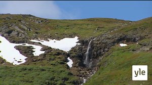 Jokiemme helmet: Tornionjoki: 17.08.2020 00.01