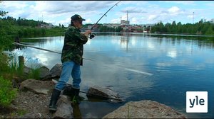 Jokiemme helmet: Kymijoki: 17.08.2020 00.01