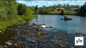 Jokiemme helmet: Kyrönjoki: 17.08.2020 00.01