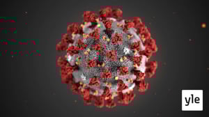 Svenska YLE live: Regeringsinfo om gränstrafiken: 19.08.2020 08.29