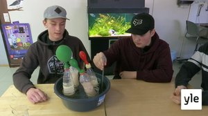 Saako hiilidioksidilla buustia akvaariokasvien kasvuun?: 19.08.2020 11.37