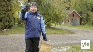 Sienestäjä Pauli: 20.08.2020 10.00