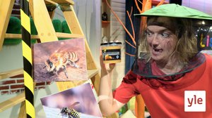 BUU-klubben: 20.08.2020 18.00