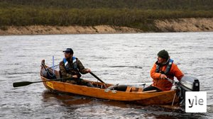 Tenojoella on ollut heikko lohikesä: 20.08.2020 11.26