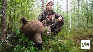 Karhunmetsästys alkoi mittavampana kuin koskaan: 21.08.2020 11.20