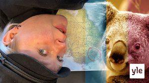 Det snöar i Australien: 24.08.2020 17.00