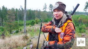 Metsäkauriin ajometsästys: 26.08.2020 06.00