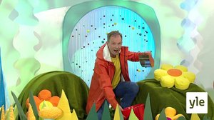 Metsämarjat: 31.08.2020 18.00