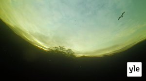 Kirje: 31.08.2020 06.00