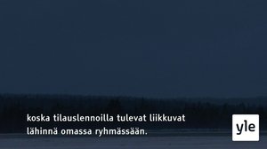 Yle Oddasat: 31.08.2020 16.49