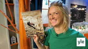 BUU-klubben: 01.09.2020 18.00