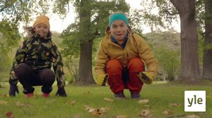 Opettele kuperkeikka: 04.09.2020 06.00