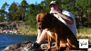 Ihmisrauniosta MM-tittelihaastajaksi - pilkattu Robert Helenius on ällistyttänyt koko nyrkkeilymaailman: 05.09.2020 00.01