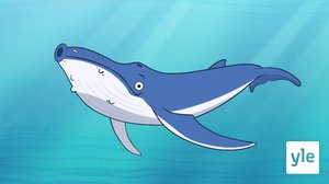 Sinivalas (S): 09.09.2020 06.00