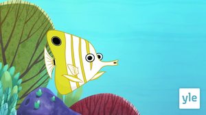 Perhokalat (S): 09.09.2020 06.00