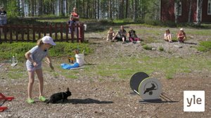 Katso, kani loikkaa : 15.09.2020 00.01