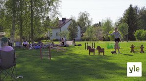 Katso, kani loikkaa : 15.09.2020 00.01