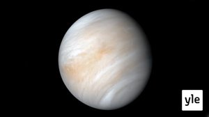 Tutkijat löysivät Venukselta viitteitä elämästä: 15.09.2020 09.41