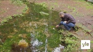 Uhrilähteiden uskottiin parantavan sairaita: 15.09.2020 09.38