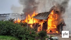 Sipoossa palaa navetta – eläimet on saatu pelastettua, syttymissyytä ei vielä tiedetä: 16.09.2020 11.26