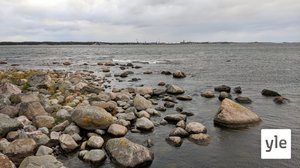 Aila-myrsky: miltä näyttää Hangossa?: 17.09.2020 09.34