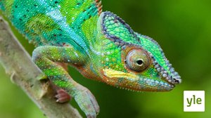 Madagaskar: 21.09.2020 06.00