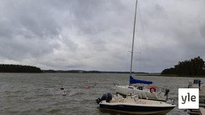 Svenska Yle live: Stormen Aila når Östnyland: 17.09.2020 17.04